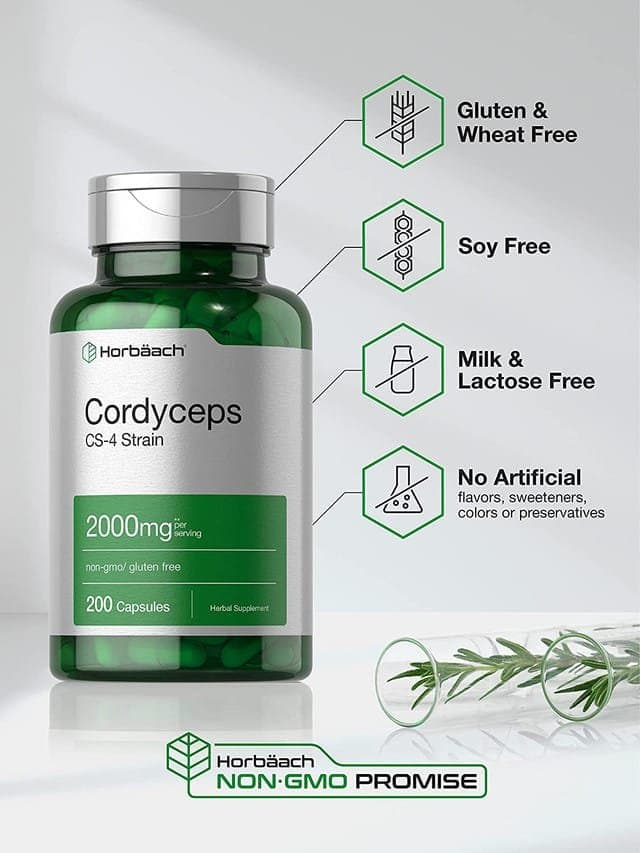 Cordyceps Capsules | 200 Capsules - Image 4