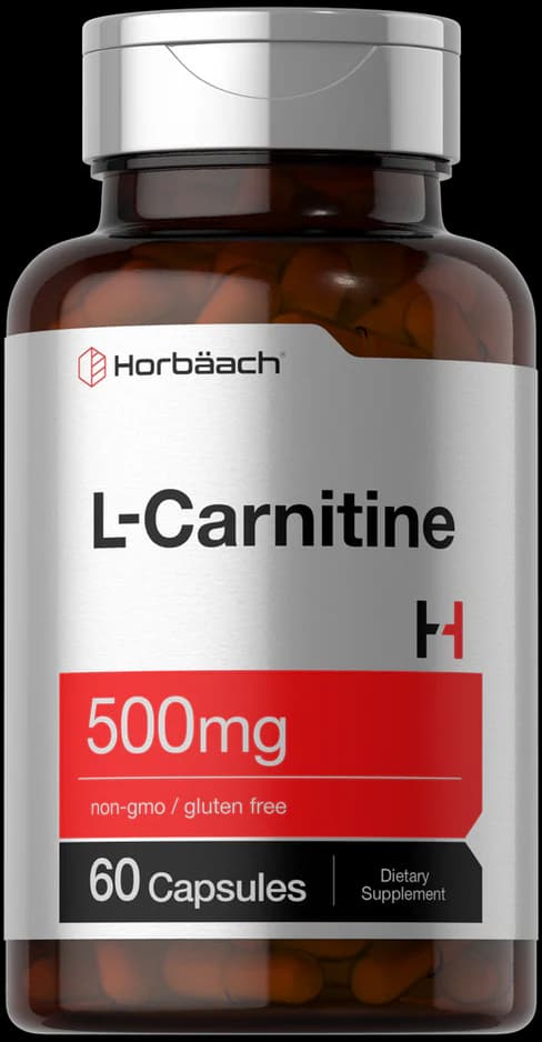 L-Carnitine 500mg | 60 Capsules